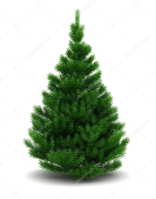 depositphotos_34111627-stock-photo-christmas-tree.jpg